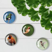 12入組30mm/1.18英寸圓形水晶玻璃冰箱磁鐵,3d高清蜂鳥系列水晶磁鐵,適用於廚房、辦公室白板、櫥櫃和洗碗機的工藝裝飾 - 3D蜂鳥系列圖案 - 查看 4