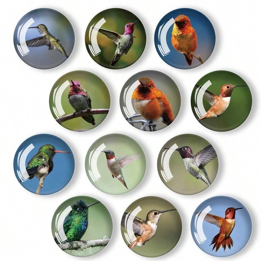 12入組30mm/1.18英寸圓形水晶玻璃冰箱磁鐵,3d高清蜂鳥系列水晶磁鐵,適用於廚房、辦公室白板、櫥櫃和洗碗機的工藝裝飾 - 3D蜂鳥系列圖案 - 查看 1
