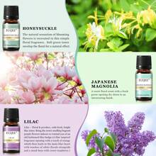 6pcs 10ml/0.33fl.Oz Fragrance Essential Oils Set For Diffusers Humidifier, Honeysuckle, Lilac, Parma Violet, Japanese Magnolia, Orange Blossom - Multicolor - View 5