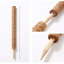 1pc Natural Coconut Palm Stick Plant Climbing Support Stake For Outdoor Garden - Brown - View 2