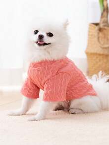 1件純色針織寵物秋冬保暖圓領上衣,適用於小型犬,如泰迪狗,比熊犬,柯基犬和貓