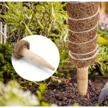 1pc Natural Coconut Palm Stick Plant Climbing Support Stake For Outdoor Garden - Brown - View 6