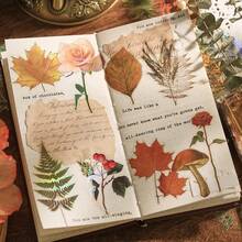 1 件裝復古植物元素設計 Pvc 貼紙,帶有金箔,用於裝飾計劃表和日記 - 蕨草樂趣 - 查看 1