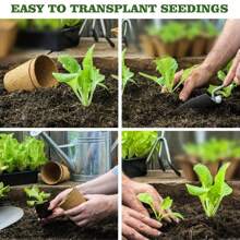 10 Peat Pots,  And  Round Plant Seedling Start-Up Kit, Seed Germination Tray, Used For Germination Of Flowers, Vegetables, Tomato Seedlings And Herbal Seeds, 3.15 Inches. - Apricot - View 2
