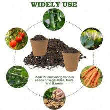 10 Peat Pots,  And  Round Plant Seedling Start-Up Kit, Seed Germination Tray, Used For Germination Of Flowers, Vegetables, Tomato Seedlings And Herbal Seeds, 3.15 Inches. - Apricot - View 6