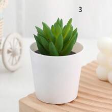 1入組人工迷你盆栽多肉蘆薈植物 - 小桶3號 - 查看 1
