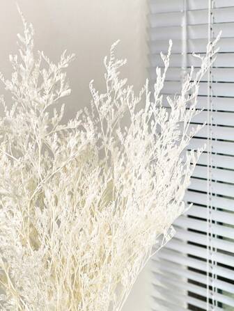 10 件天然干情人节草 - 插花艺术、DIY 工艺品、婚礼装饰、家居装饰、派对桌花瓶花园、办公室婚礼家居礼品、DIY 花环花卉、圣诞节