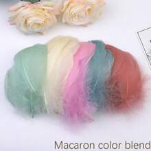 100入組多色lorandite染鵝毛絨球形馬羽毛diy工具套裝 - 彩色 - 查看 5