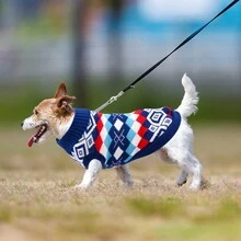 狗毛衣针织衫，蓝白格子保暖狗套头衫针织衫狗套头衫冬季狗外套宠物针织套头衫毛衣可洗狗针织毛衣适合中型犬 - 藍白色 - 查看 4