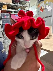 寵物貓狗鉤針服裝帽,搭配蕾絲飾邊和紅色蝴蝶結 - 紅色 - 查看 4