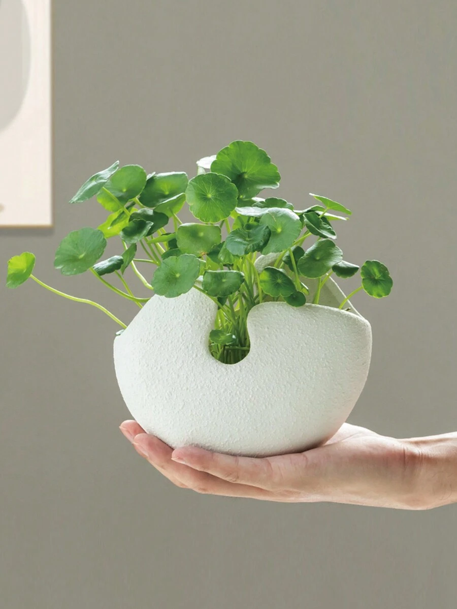 1 件水培陶瓷花盆，创意个性化浇水植物花瓶容器，室内插花家居装饰，办公桌装饰品，室内植物容器 - 白色 - 查看 1
