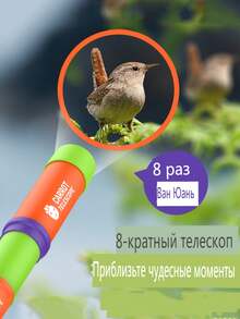 1入新胡蘿蔔形狀望遠鏡,8倍放大單管3節伸縮對焦,男女兒童教育玩具,便於攜帶 - 綠色 - 查看 1