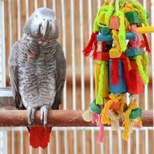 大型和小型鸚鵡咬木玩具,鸚鵡籠裝咬玩具,鳥塊結撕裂玩具,掛飾鸚鵡吊床籠附件,適用於印尼鸚鵡、小鸚鵡、愛情鳥、非洲灰鸚鵡用品 - 彩色 - 查看 7