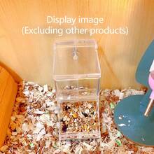 仓鼠自动喂食碗-金丝熊、荷兰猪、蜥蜴猫、刺猬、兔子专用餐具盒,螺钉固定,超大容量 - 白色 - 查看 10