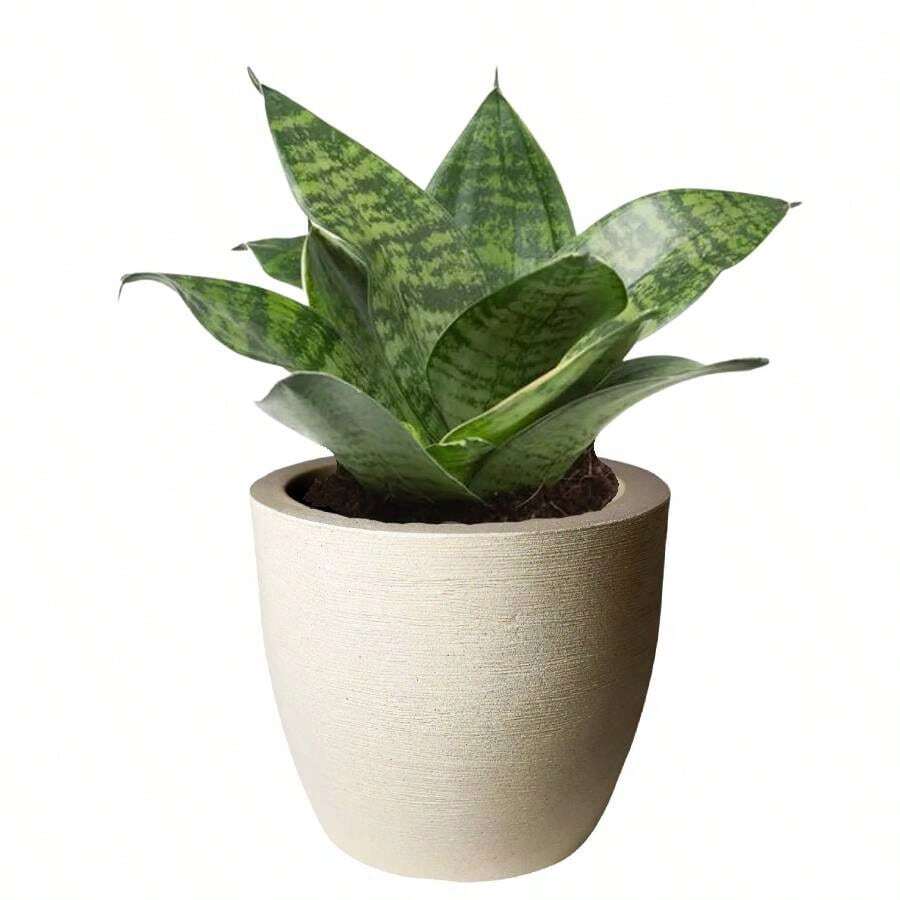 Decorative Plant Pot Round Cone Luxury Modern Model Grafiato Garden And Balcony - 米色 - 查看 1