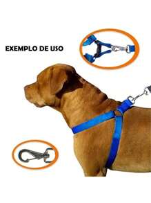 Pet Collars, Leashes & Harnesses Sets - 黑色 - 查看 5