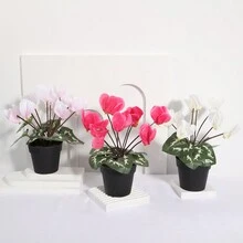 1入仙人掌玉,粉色,適合新年、春節、情人節、禮物、桌上裝飾、學校、宿舍、辦公室、戶外派對、節日、生日、家庭、旅館、餐廳、客廳、臥室、婚禮、廚房、花園裝飾 - 白色 - 查看 2