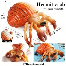 海洋動物玩具寄居蟹tpr無味拉伸玩具,漂浮且具彈性的橡膠海洋動物,兒童蛋糕裝飾或沐浴玩具 - 橘色 - 查看 2