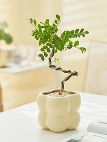 1入組現代創意球型陶瓷花盆,室內收納家居裝飾 - 米色 - 查看 7