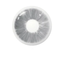 1 对 Meta 灰色彩色美瞳隐形眼镜 每年 14.2 毫米 适合送礼 时尚 Y2k - 灰色 - 查看 5