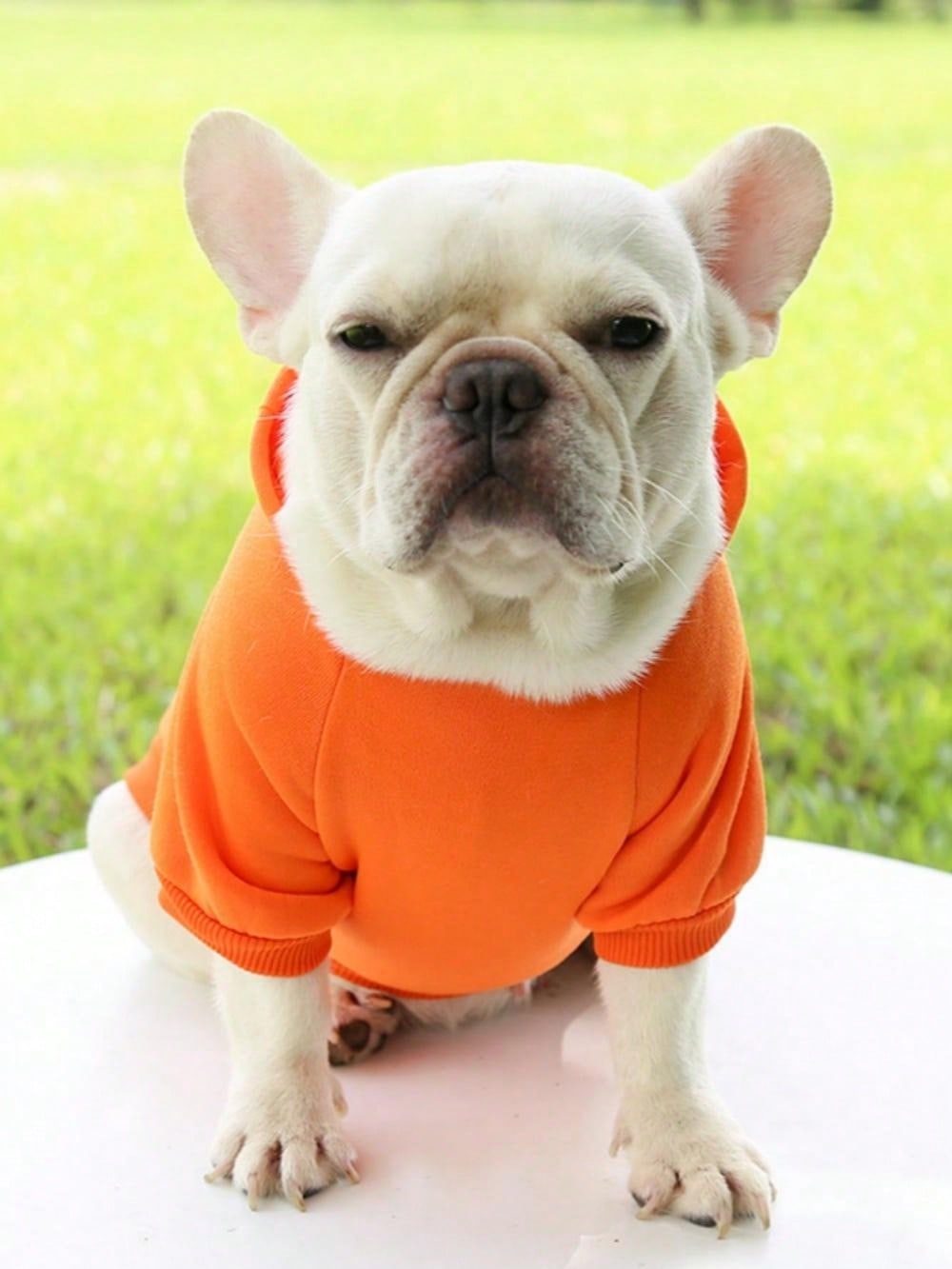 Dog Supplies Clothes For Medium Small Breed Puppies Hoodie Winter Warm