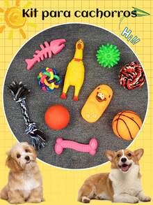 10 Piezas Set De Mordederas De Juguete Para Perro - Multicolor - Ver 1