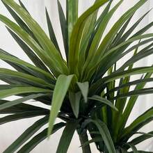 Artificial Tree, Simulation Potted Plants, Tall Fake Plants For Home Office Modern Decoration - Cây huyết dụ 5FT B - Xem 4