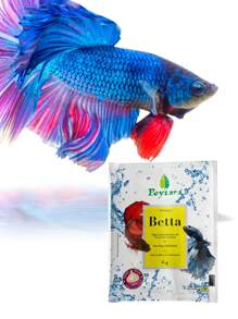 BETTA Poytara 6 grs - Verde - Visão 3