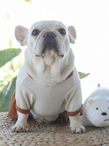 1pc Casual & Fashionable Pet's T-Shirt, Suitable For Cat/Dog, With Bear/Teddy Design, For Medium Sized Dogs, Winter - Beige - View 7