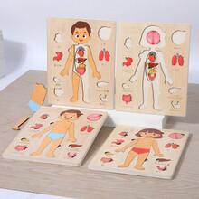 兒童用木材製作的人體結構主題3d立體拼圖板,是男孩和女孩的早期學習教育玩具 - 杏色 - 查看 8