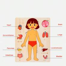 兒童用木材製作的人體結構主題3d立體拼圖板,是男孩和女孩的早期學習教育玩具 - 杏色 - 查看 5