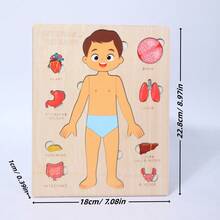 兒童用木材製作的人體結構主題3d立體拼圖板,是男孩和女孩的早期學習教育玩具 - 杏色 - 查看 6