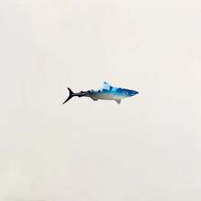 1pc Iron Art Shark Shaped Ornament For Home Decoration - D - View 6