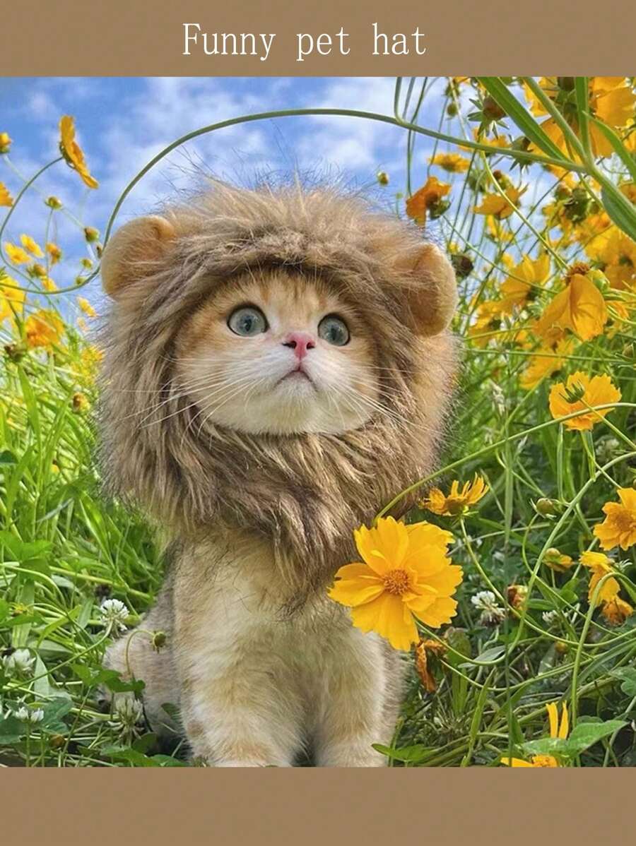 可調式貼鉤貓狗帽，冬季保暖 - 棕色 - 查看 1