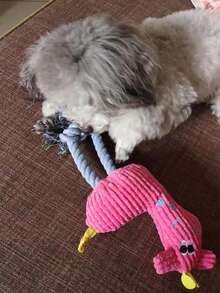 寵物用品毛絨狗玩具,玉米形或鹿形發聲 - 黃色 - 查看 7