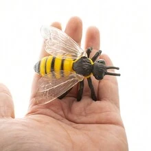 Bee Life Cycle Sculpture Toy - Apricot - View 9