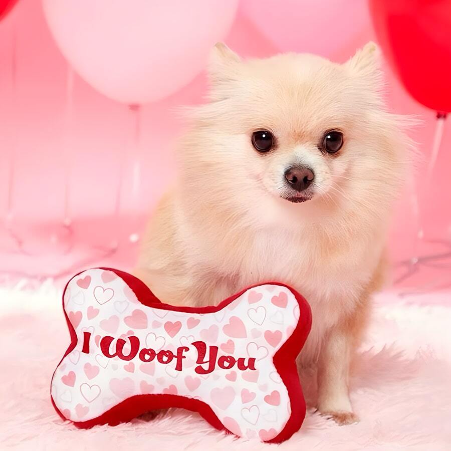 1個情人節寵物毛絨玩具,可愛骨形設計,清潔牙齒,抗咬,發聲玩具,給你的朋友最完美的禮物 - 紅色 - 查看 1