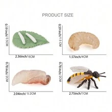 Bee Life Cycle Sculpture Toy - Apricot - View 3