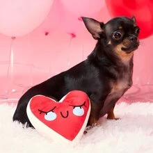 1只情人節毛絨玩具寵物,可清潔牙齒,耐用,吱吱聲,心形設計適用於小型和中型貓狗,是送給朋友的完美禮物 - 紅色 - 查看 1