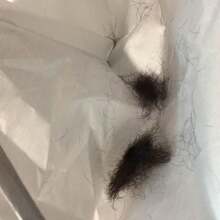 Áo choàng cắt tóc hình ô cho người lớn, váy cắt tóc tại nhà di động có thể gấp gọn, dụng cụ làm tóc, sản phẩm và phụ kiện tóc cho tiệm cắt tóc, đồ dùng làm đẹp thiết yếu khi đi du lịch, trở lại trường, đồ dùng thiết yếu khi đi du lịch, phụ kiện tóc cho phụ nữ - Màu Xám nhạt - Xem 7