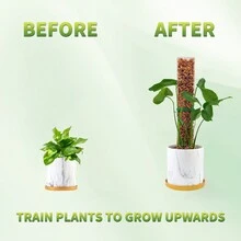 4入組 15 英寸植物攀爬架，水苔柱，植物攀爬支架攀爬藤架，家居裝飾室內種植用品，掛盆綠植裝飾 - 白色 - 查看 5