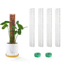 4入組 15 英寸植物攀爬架，水苔柱，植物攀爬支架攀爬藤架，家居裝飾室內種植用品，掛盆綠植裝飾 - 白色 - 查看 1