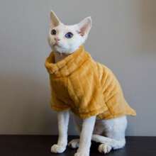 1pc Sphynx Cat Clothes, Hairless Cat Fleece Pullover, Solid Color Sweatshirt For Spring & Autumn - Dark Grey - View 7