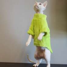 1pc Sphynx Cat Clothes, Hairless Cat Fleece Pullover, Solid Color Sweatshirt For Spring & Autumn - Dark Grey - View 4