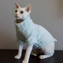 1pc Sphynx Cat Clothes, Hairless Cat Fleece Pullover, Solid Color Sweatshirt For Spring & Autumn - Dark Grey - View 2