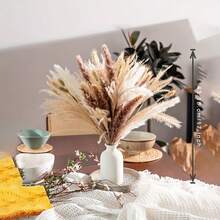 60入組天然棕白色蓬鬆花絮,波西米亞風格家居裝飾的花瓣草,17英寸乾花花束,適用於西式臥室,桌面,浴室,婚禮,春季季節,聖帕特里克節,母親,祖母,情人節和復活節裝飾 - 米色 - 查看 3