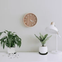 3pcs Set:12inch Black Plant Pot,12inch Heavy Duty Round Planter,Plant Plastic Saucer,Indoor Plant Dish,Bird Bath - Black - View 4