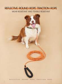 Pet Training Leash - Orange - View 3