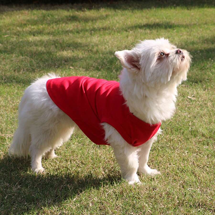 1pc Pet Clothes For Small Medium Dogs Solid T-Shirt Dogs Accessories Pet Supplies Cat Vest Shirts Pets Outfits - Red - View 1