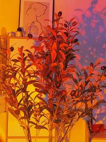 1 Pc Pink Projection Light For Indoor Party Decorations, Ambiance Lighting And Night Lighting - Pink - View 12